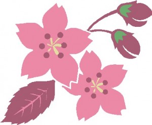 桜のイメージ